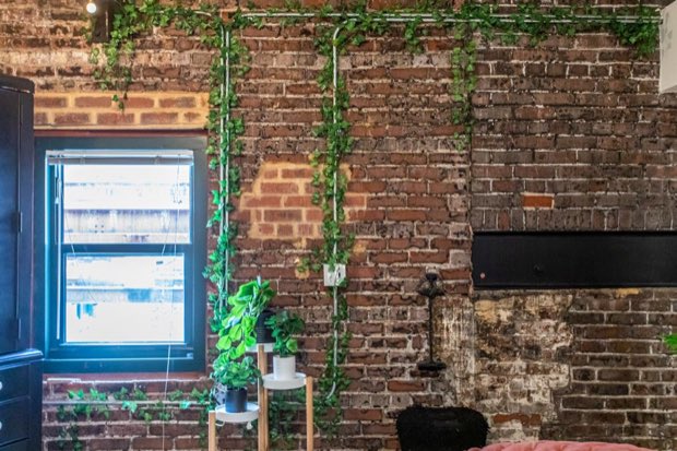 Exposed brick wall with trailing ivy and a factory window