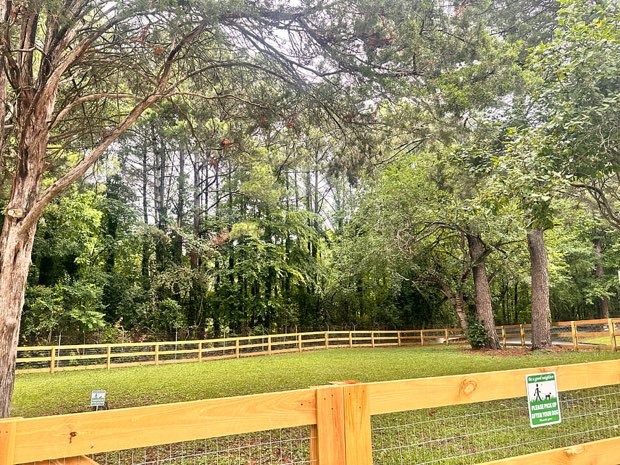 Community green space and fencing across the street