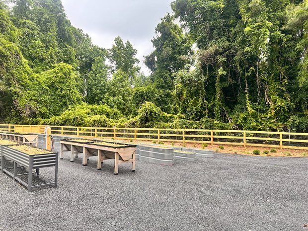 Community garden beds directly across from the home